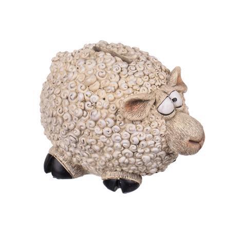 Касичка овца
