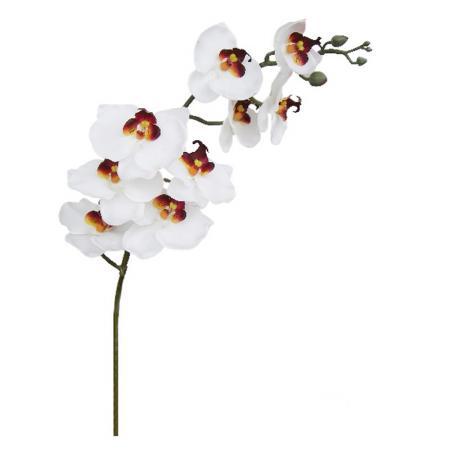 Орхидея бяла 90см.